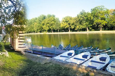 Ruderboote liegen im Wasser Saale